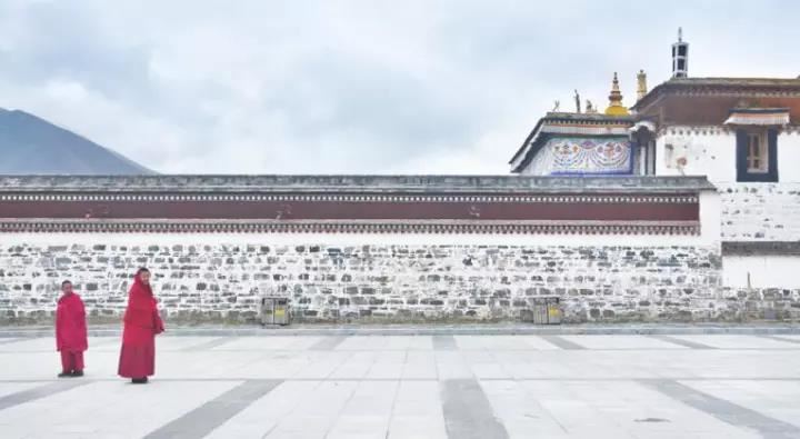 女人右手背痣图解对照表图片