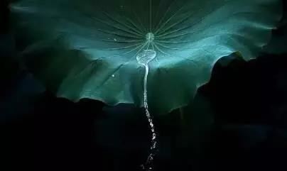 处女座属于什么象星座
