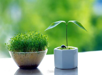 聂姓的来源和历史