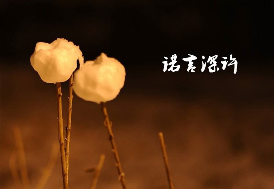1996年，82岁文学家徐迟从6楼纵身跃下，悲剧背后隐藏着什么秘密