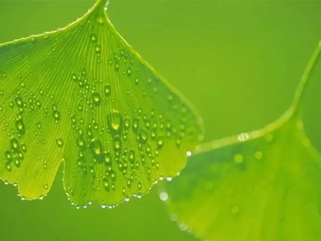 94年属狗的婚姻什么时候才到 虎年感情提升