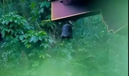梦见自己洗碗