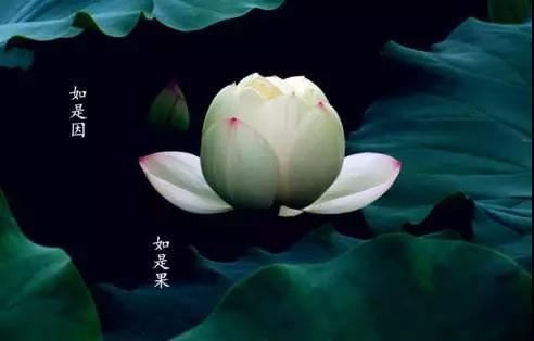 风水知识必备：觅龙、察砂、观水和点穴