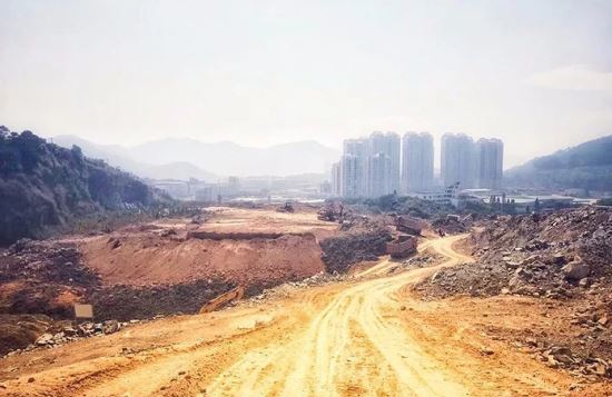 大师教你看手相