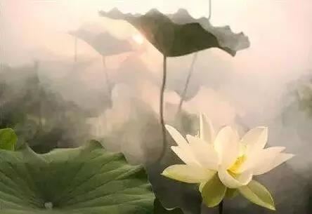食神是什么意思 食神在哪个柱上最好
