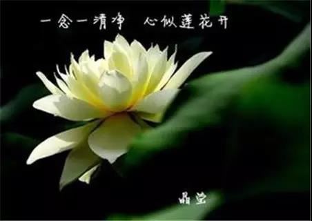 财多身弱, 八字命理中的财运陷阱, 如何避免!