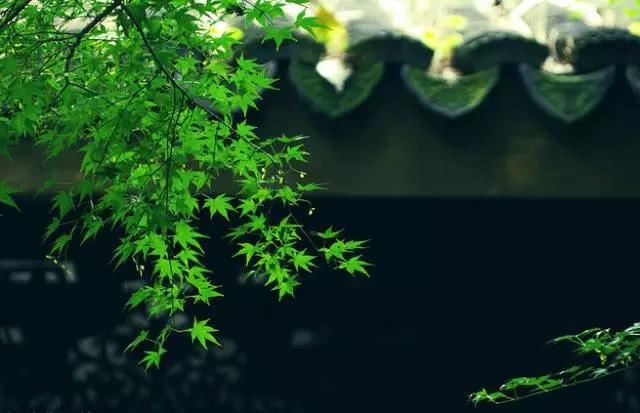 当42岁王子文与30岁陈梦站在一起，我才明白什么叫顶级自律
