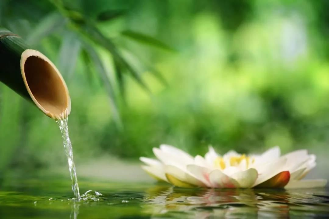 镜花水月的生肖 哪些生肖是镜花水月
