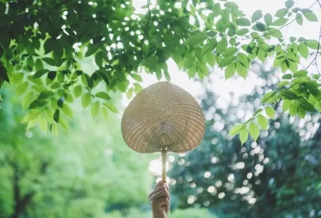选择亲家时，果断拒绝这三种家庭，为儿女婚姻把好第一关
