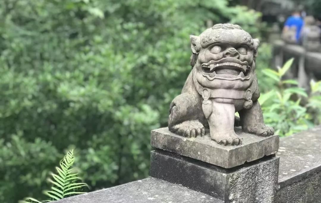 都是身弱用印的八字，咋人生差距会这么大？