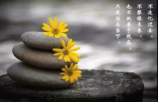 ab血型的属鸡人的人生精彩吗