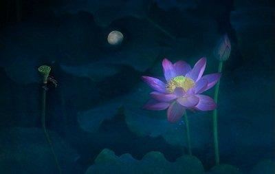 全球很多国家都有大量黑人，去日本的却不多，这是为何？