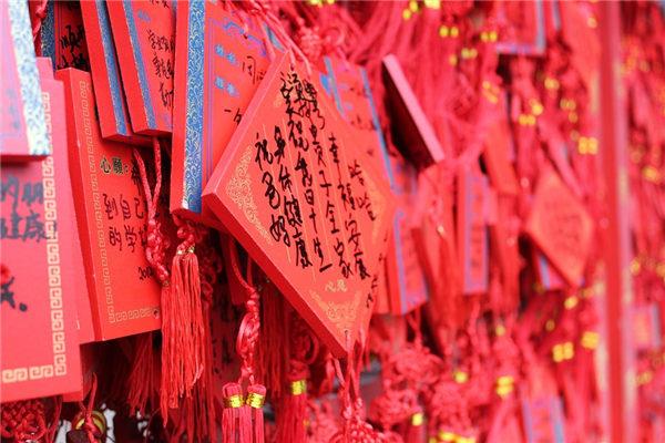 虎和鼠的属相合不合 虎和鼠相冲吗