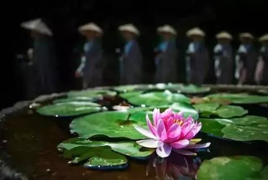 生肖鼠命中注定的情劫 属鼠的多大遇到真爱
