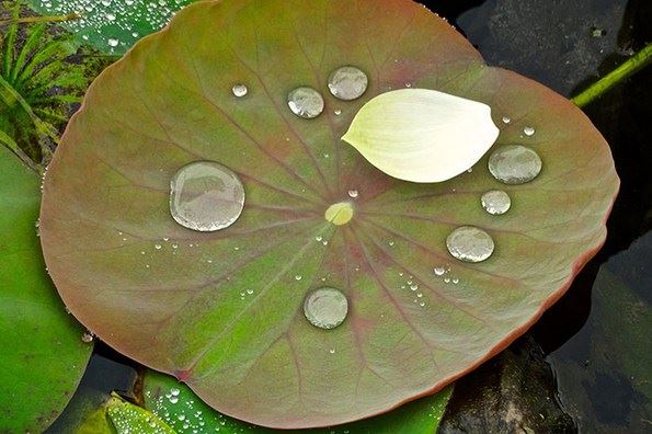 揭秘闰年上半年有多少天