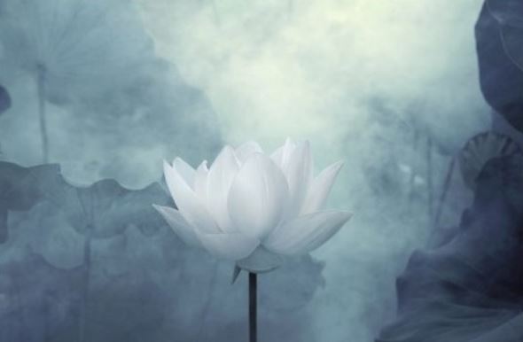 四柱八字算命论阳刃