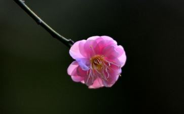 乙卯时是几点 乙卯时几点