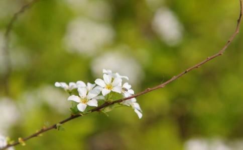 命理大师分析你们婚姻是否会一帆风顺，甜甜美美？